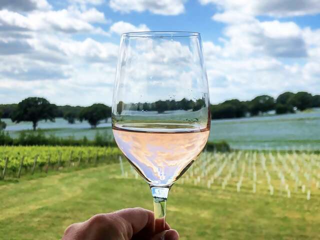 Private Wine Tour of Kent