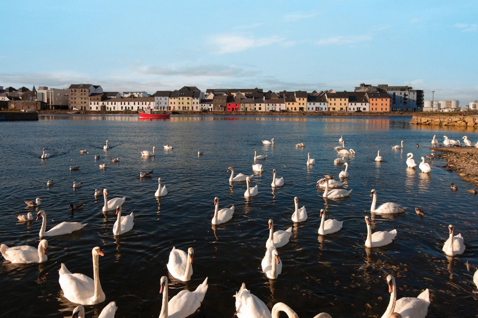 CIE Tours 2025 Early Bird Discount