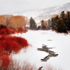 Aspen
