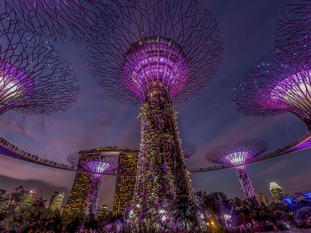 Top Tours in Asia