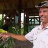 Video: Eco-Friendly: Meet this Cruise Line Private Island's In-House Naturalist