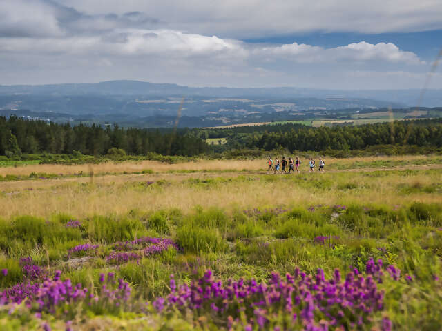 Looking for travellers who are up for a challenge!