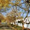 South Africa with Vanora