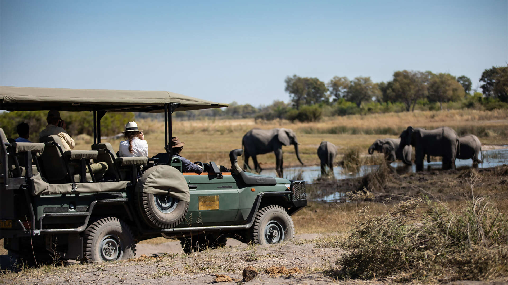 Great-Plains-Selinda-Camp-game-drive-experience.jpg