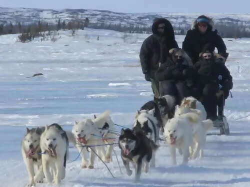 Dogsleds, Carvings, and Throat Singers