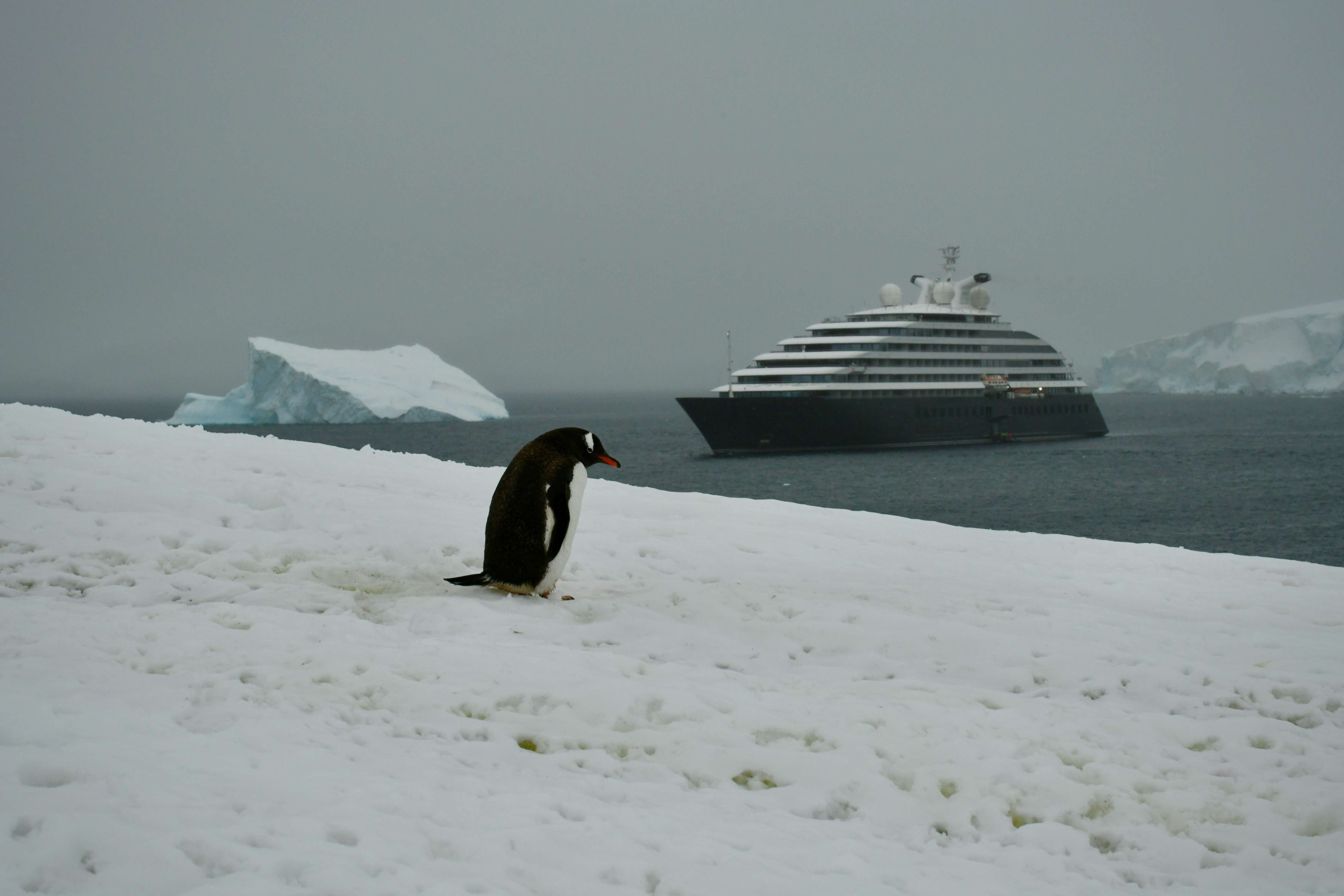 Why an Expedition Cruise Might Be Your Best Adventure Yet