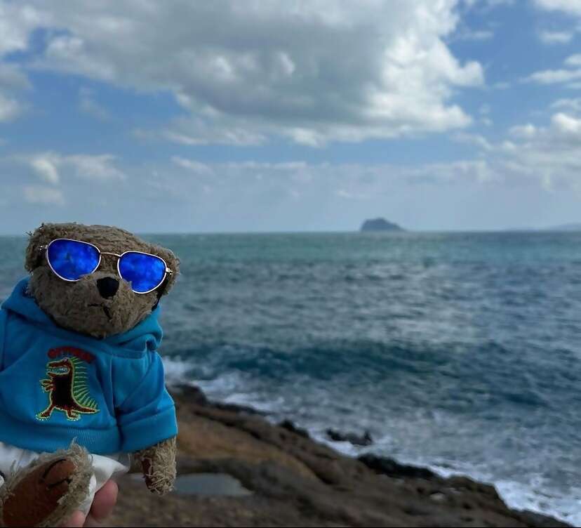 Office Closed for Thanksgiving Holiday