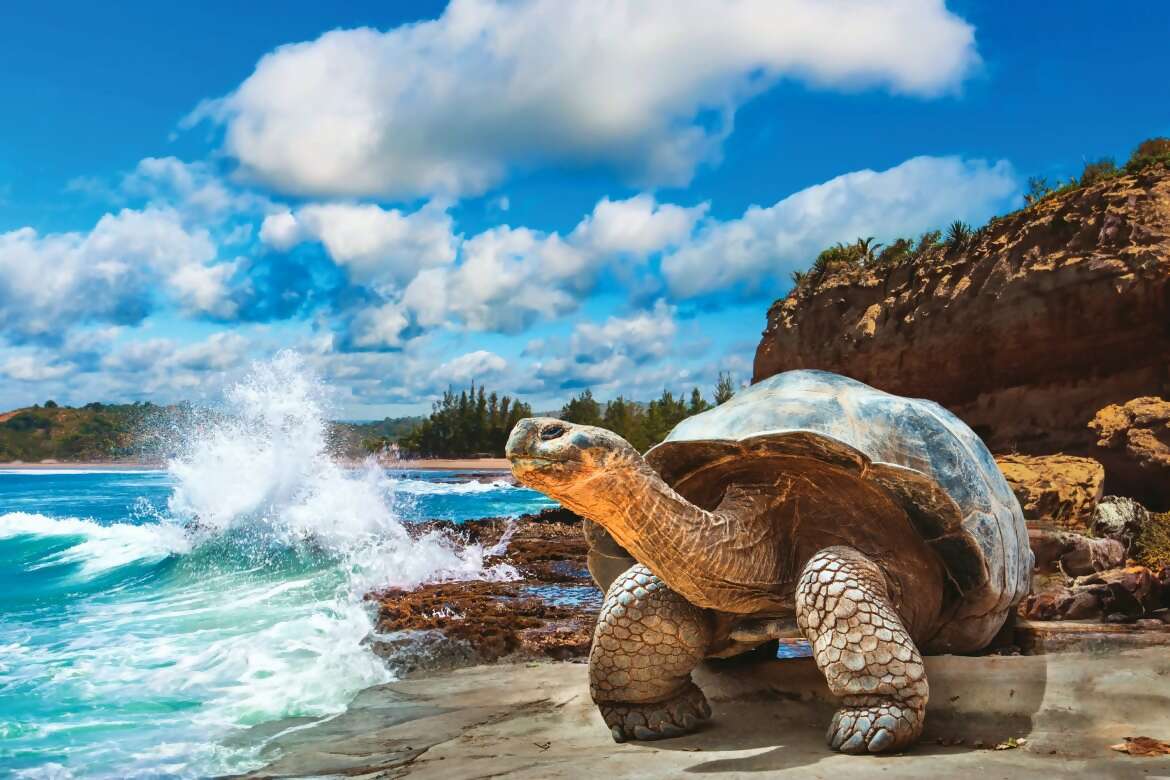 Galápagos Islands Expedition with Colleen Johnson