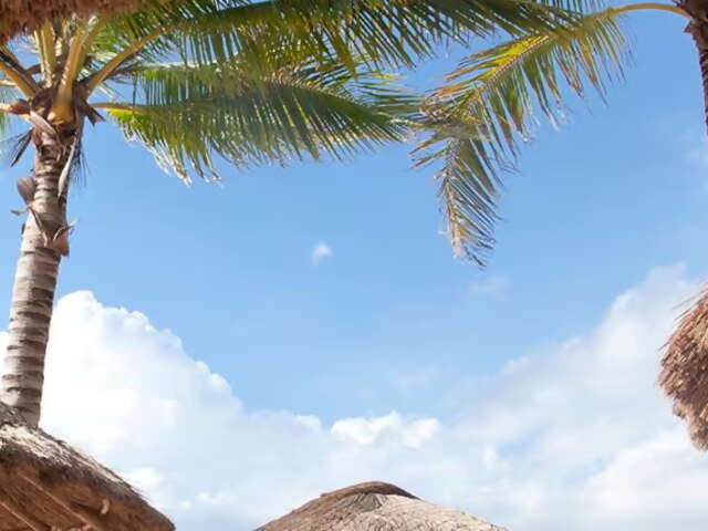 7-Day Western Caribbean From Galveston, Texas