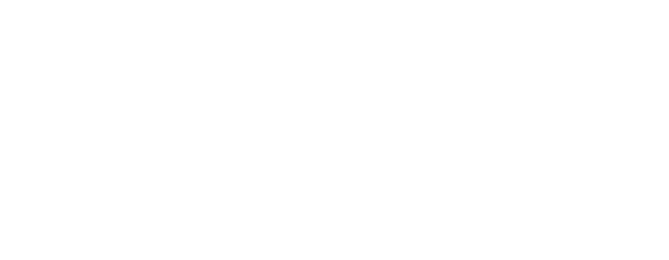 Bloom Travel