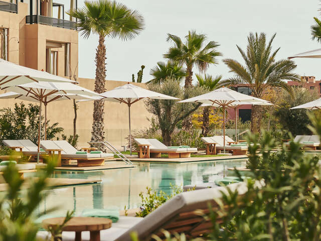 Magic in Marrakech: Fly High, Stay Higher