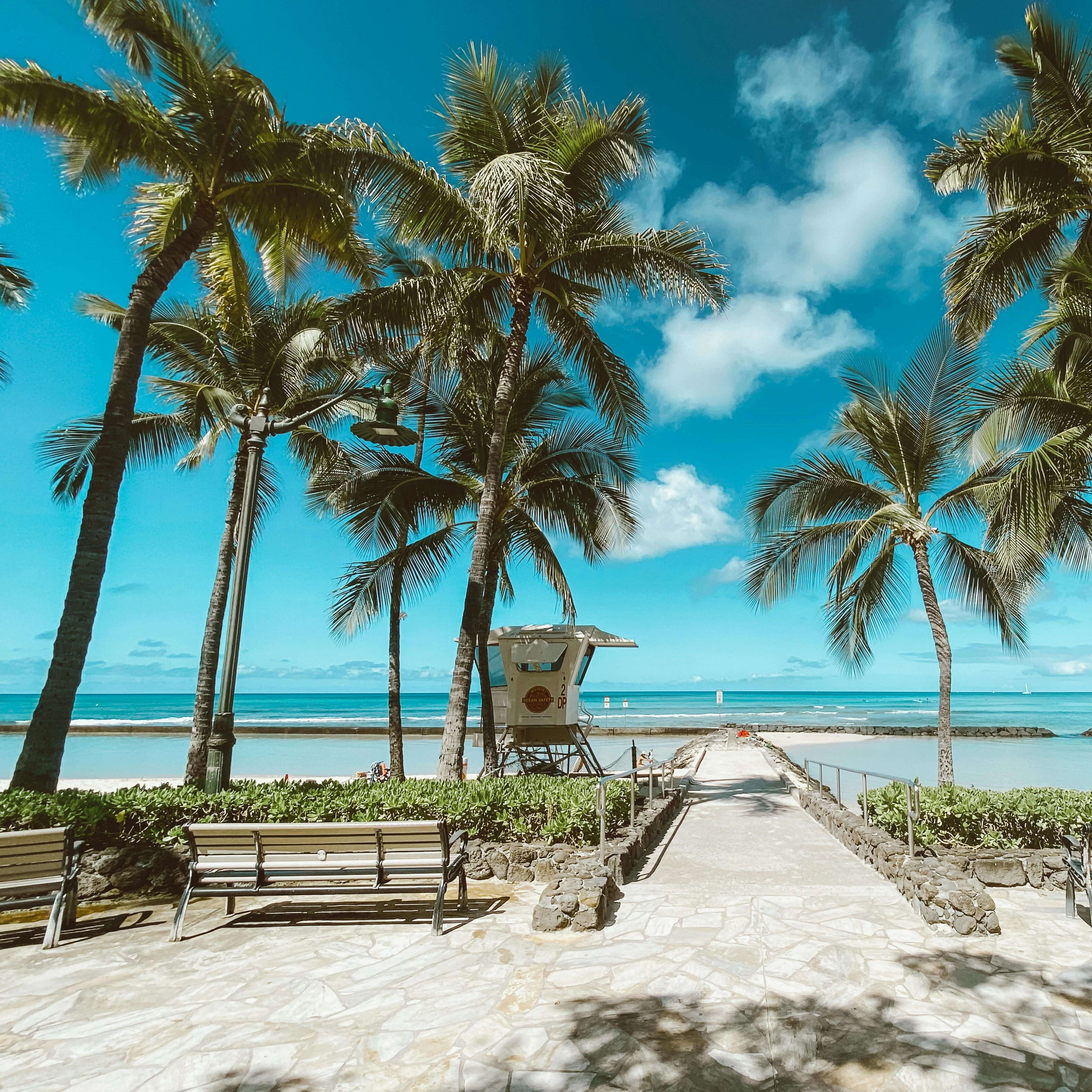 Discover the unique beauty of the Bahamas and Hawai'i!