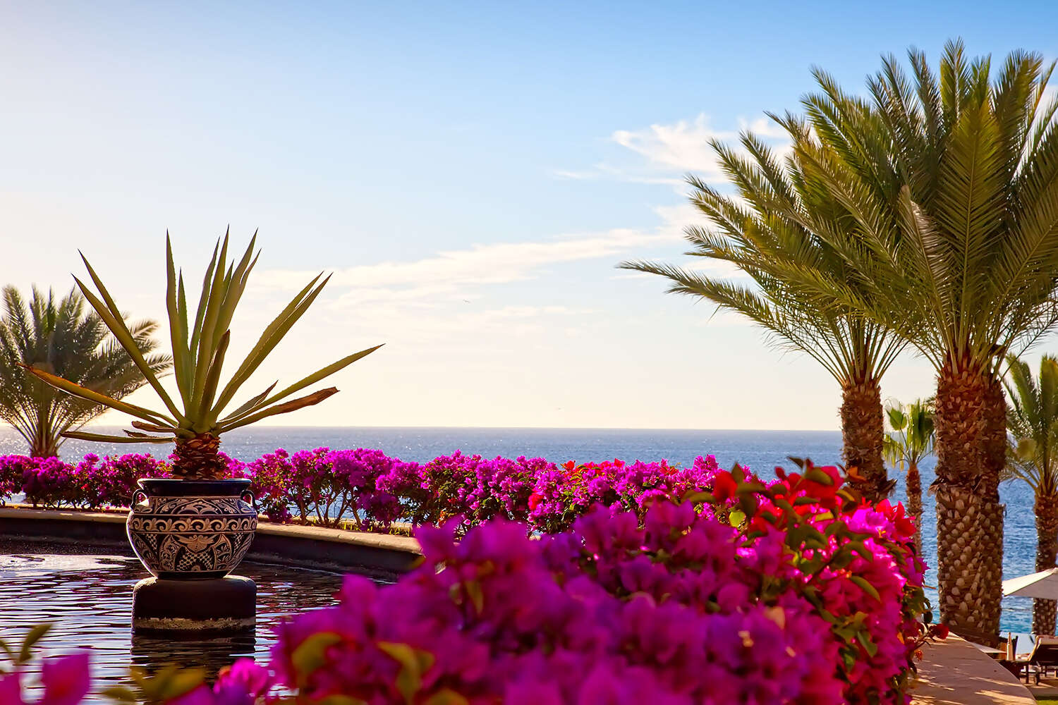 Mexico and the Caribbean Experiences