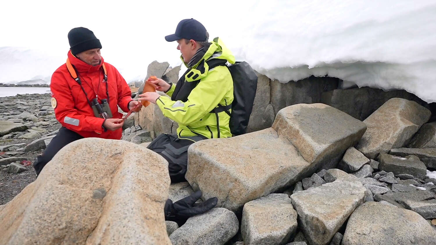 What is the best time to book a Viking Expedition cruise?