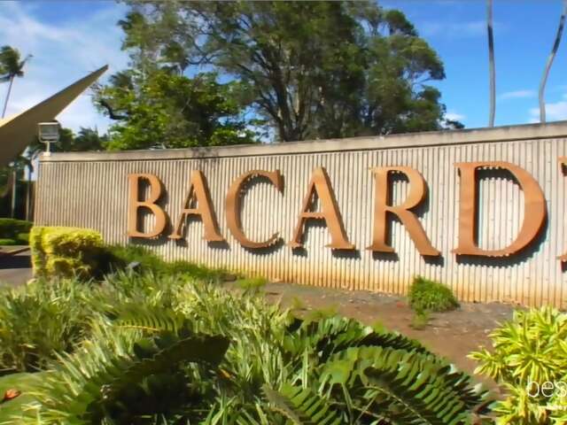 That Time Mr. Bacardi Told Us About His Family Rum - And How To Make Bacardi's Original Daiquiri