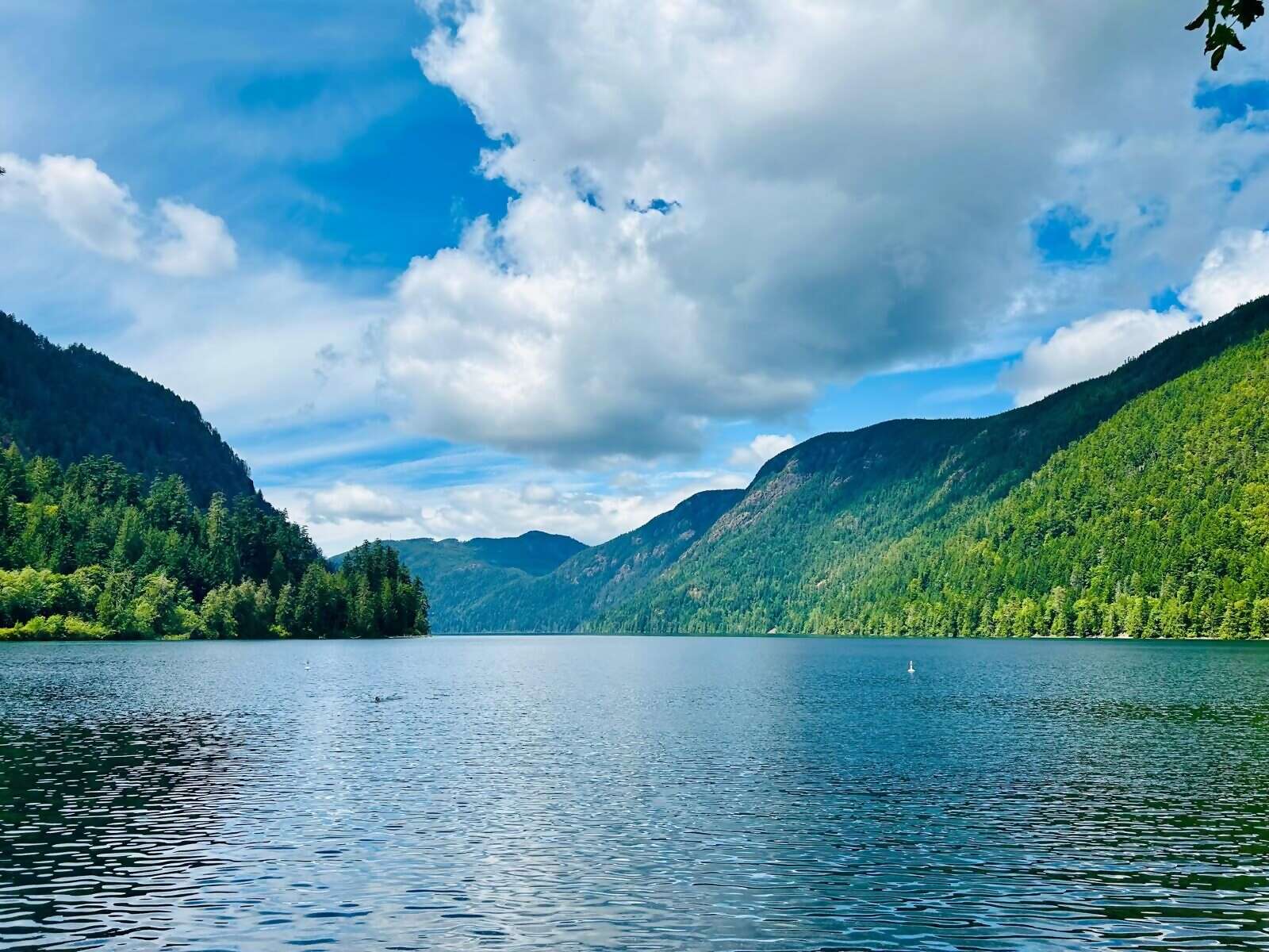 Katerlea (Kate) Brown