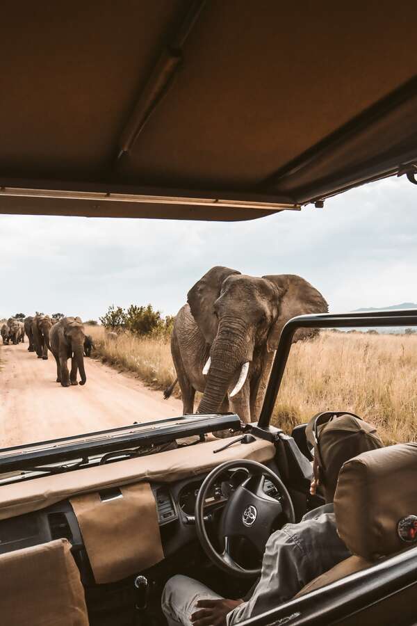 Nine Essential Tips for Planning a Trip to Africa