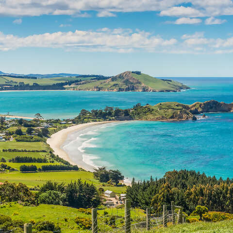 New-Zealand.jpg