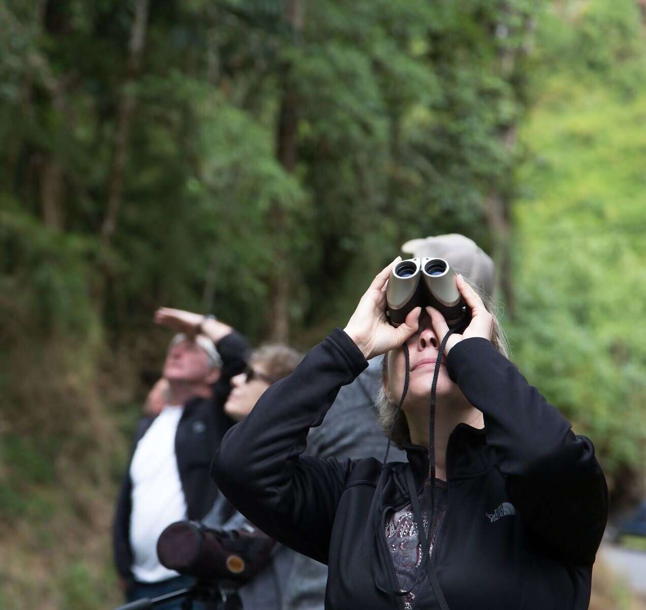 Costa Rica Birdwatching