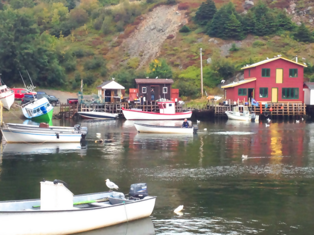 Top Souvenirs from a Cruise Trip to Newfoundland