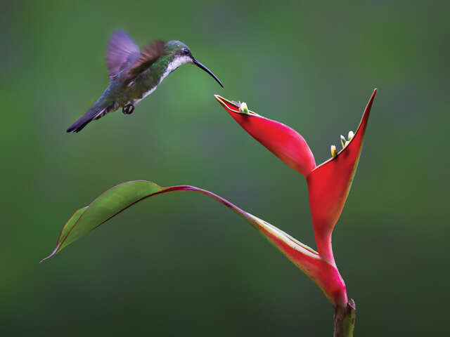Eyes Wide Open in Costa Rica