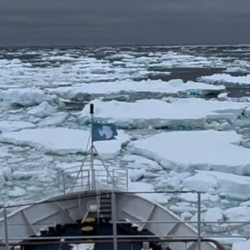 Home profile pic 020 Iced In Antarctica