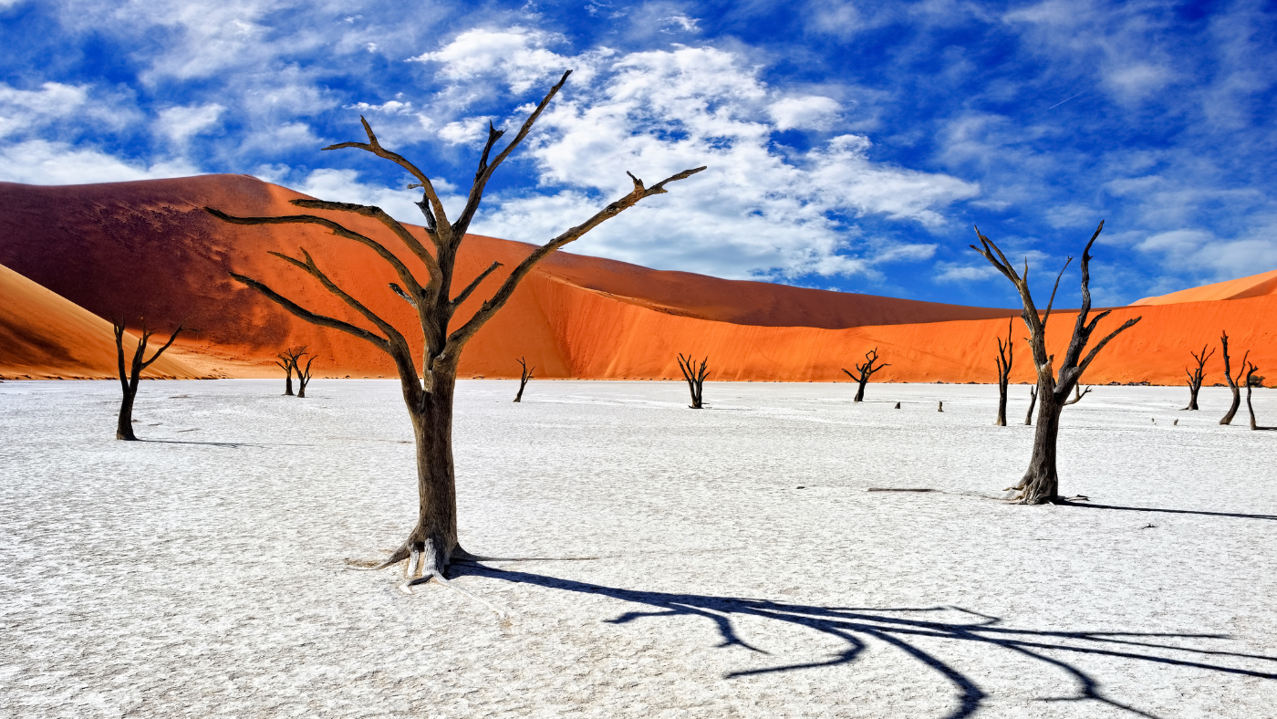 Book Your AmaWaterways Africa Safaris and Wildlife Cruises for 2026