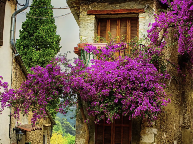 Experience the Colors of Provence - Join Our Group in October 2025 - Early Booking Pricing!