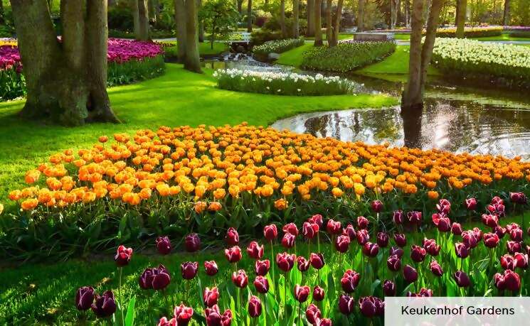 Tulip Time Cruise