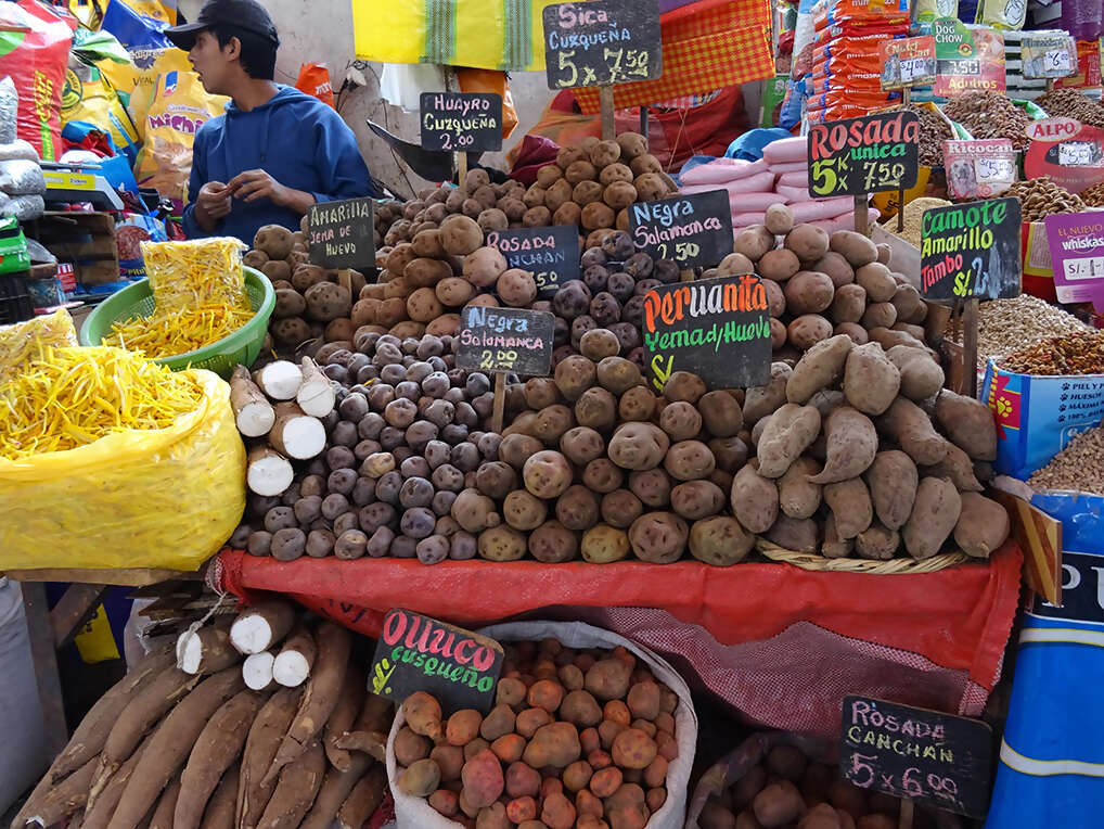 Arequipa – Hotel El Conquistador