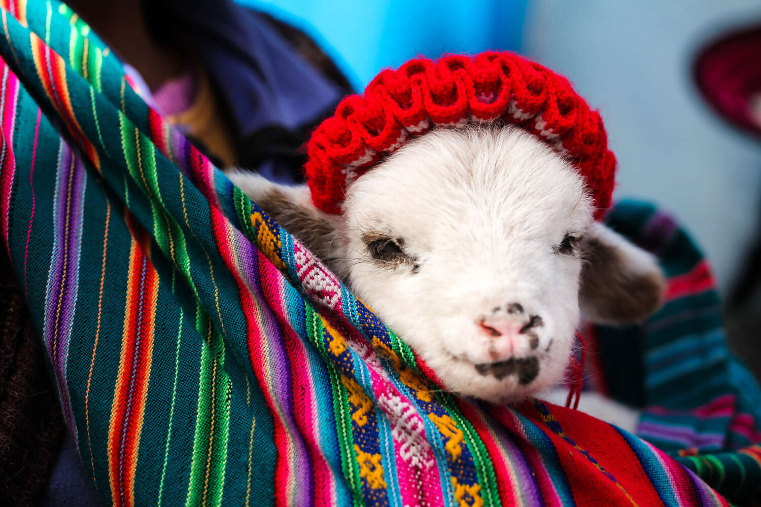 Peru