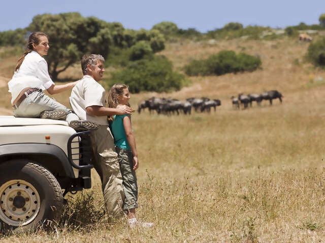 Family Vacations in Africa