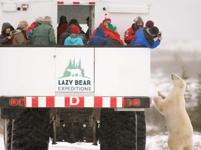 Experience the northern frontier town of Churchill and the wonderful wildlife surrounding it on a 2 night, 3 days – Polar Bear Adventure!