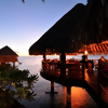 Hawaii and Tahiti Added to Holland America Line's FOOD & WINE Shore Excursions
