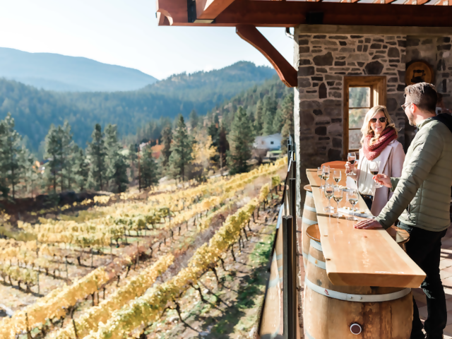 Places You Can Tour Wine Country Close to Home