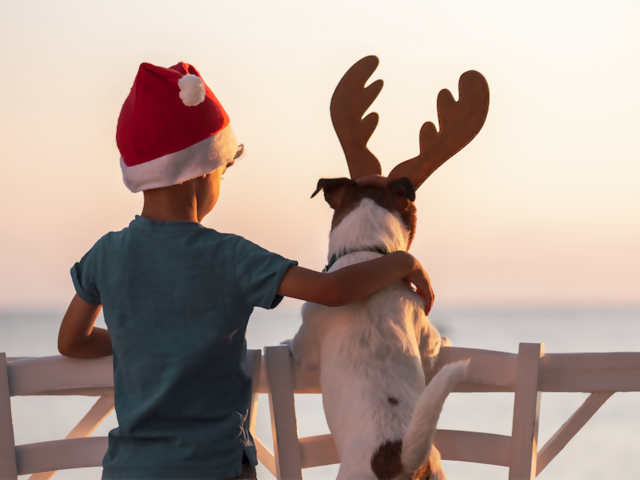 Celebrating the Holiday Spirit of Travel... at Home
