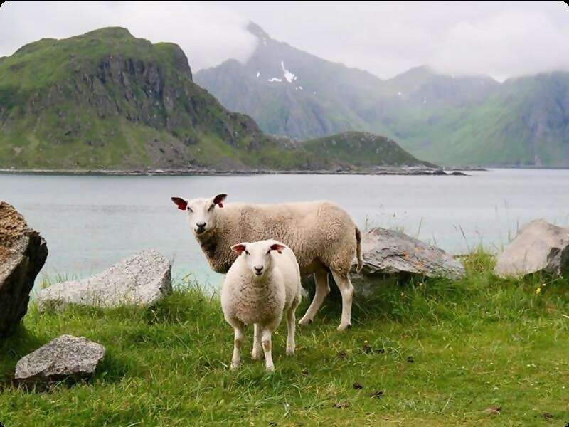 Sightseeing Throughout Rotorua!