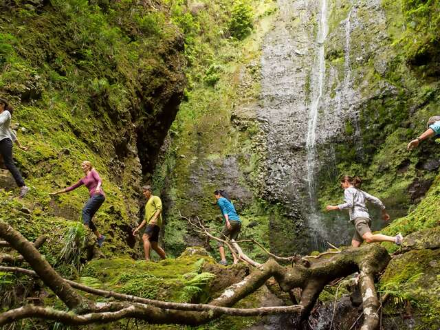 Save an Additional $100 per Person on Select 2026 North or South American Vacations