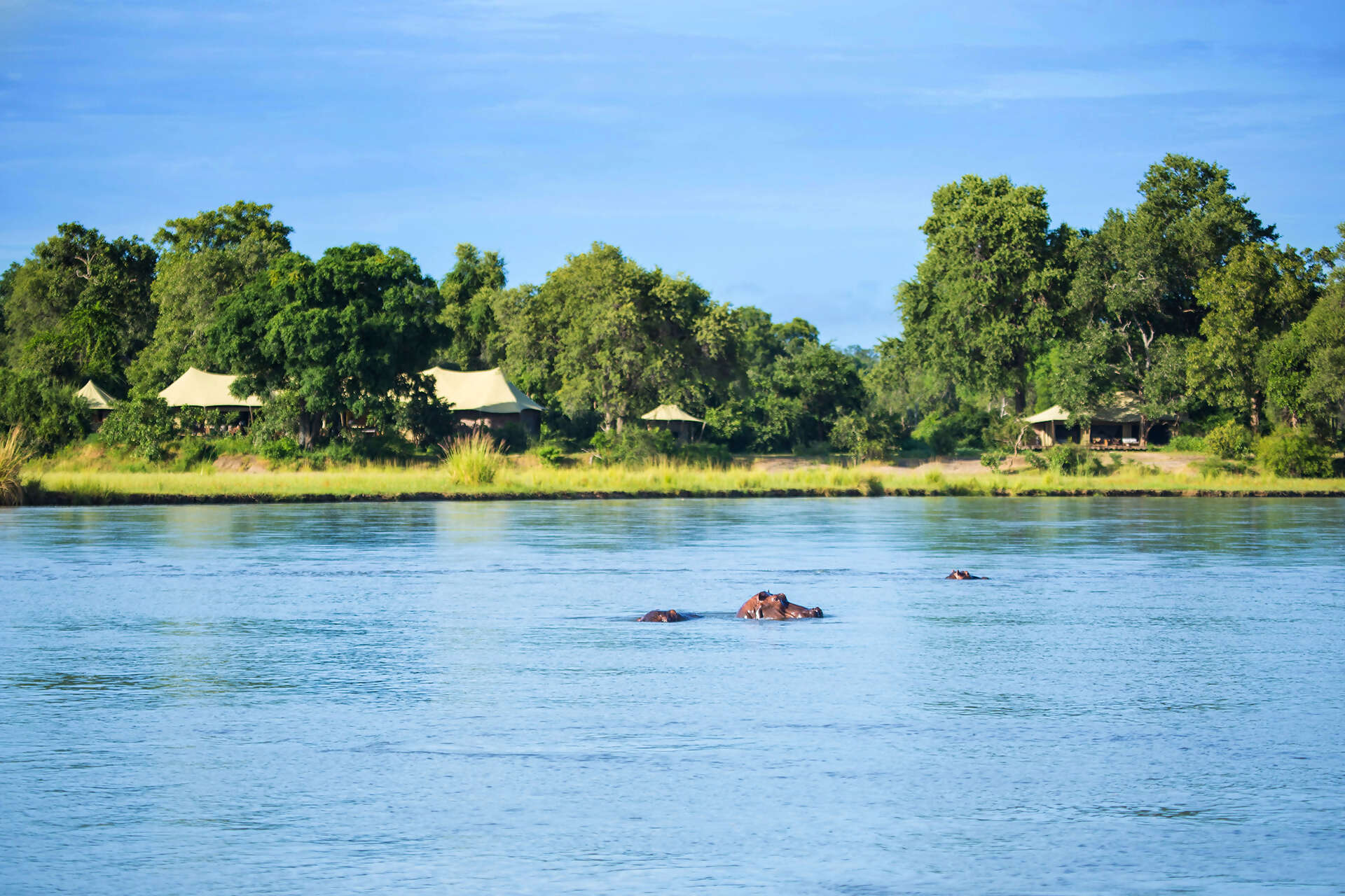 05Great-Plains-Tembo-Plains-Camp-with-hippos.jpg