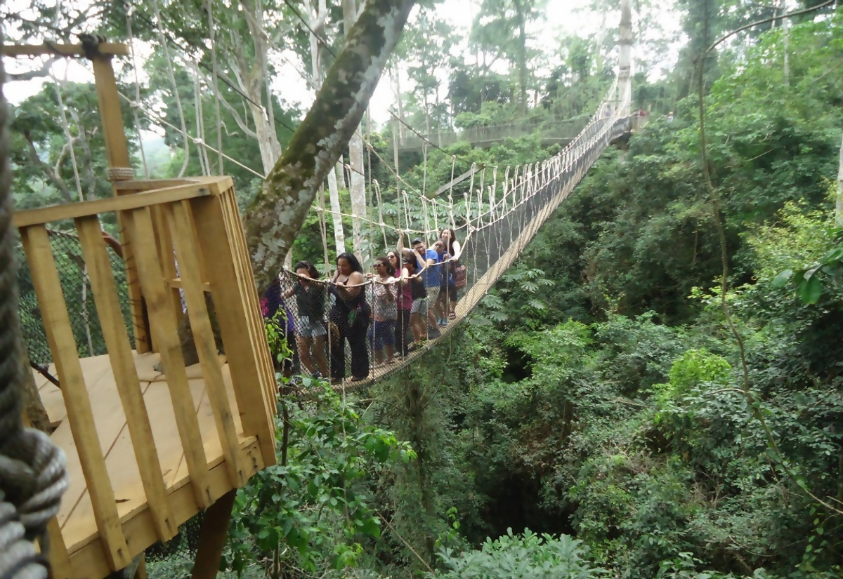 Assin Manso and Kakum Park Tour