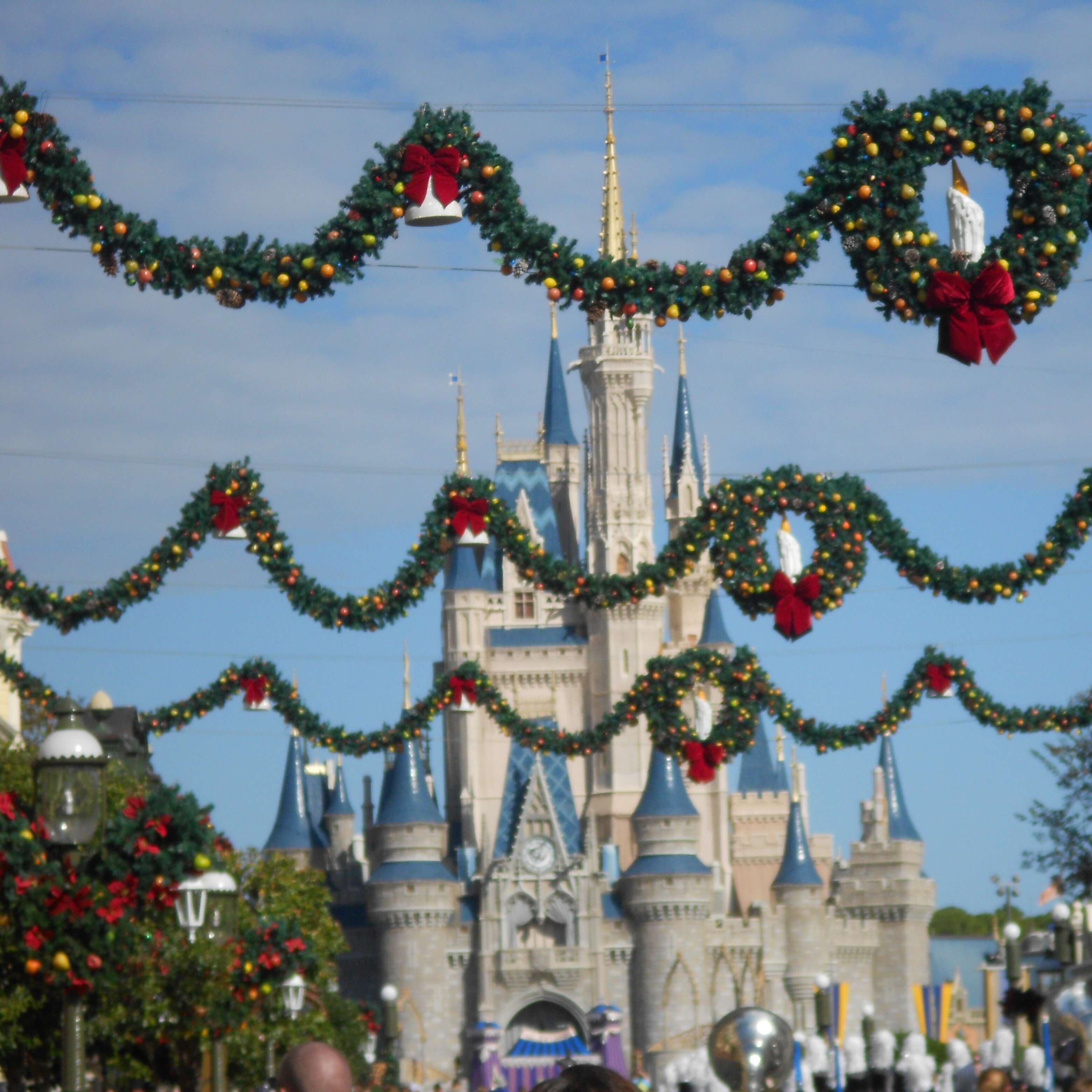 Ten People, One Dream, and a Whole Lot of Disney Magic