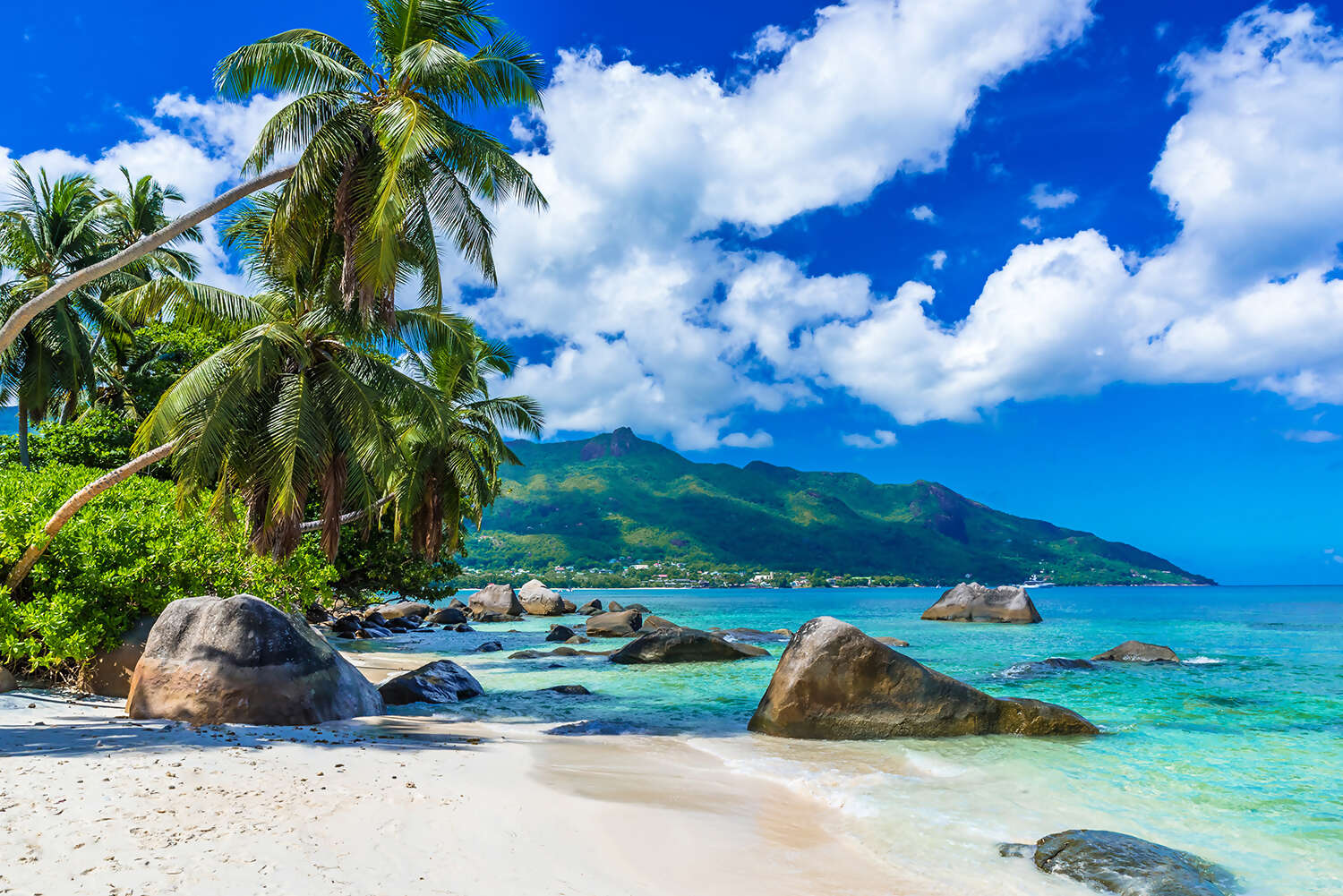 Seychelles Beach