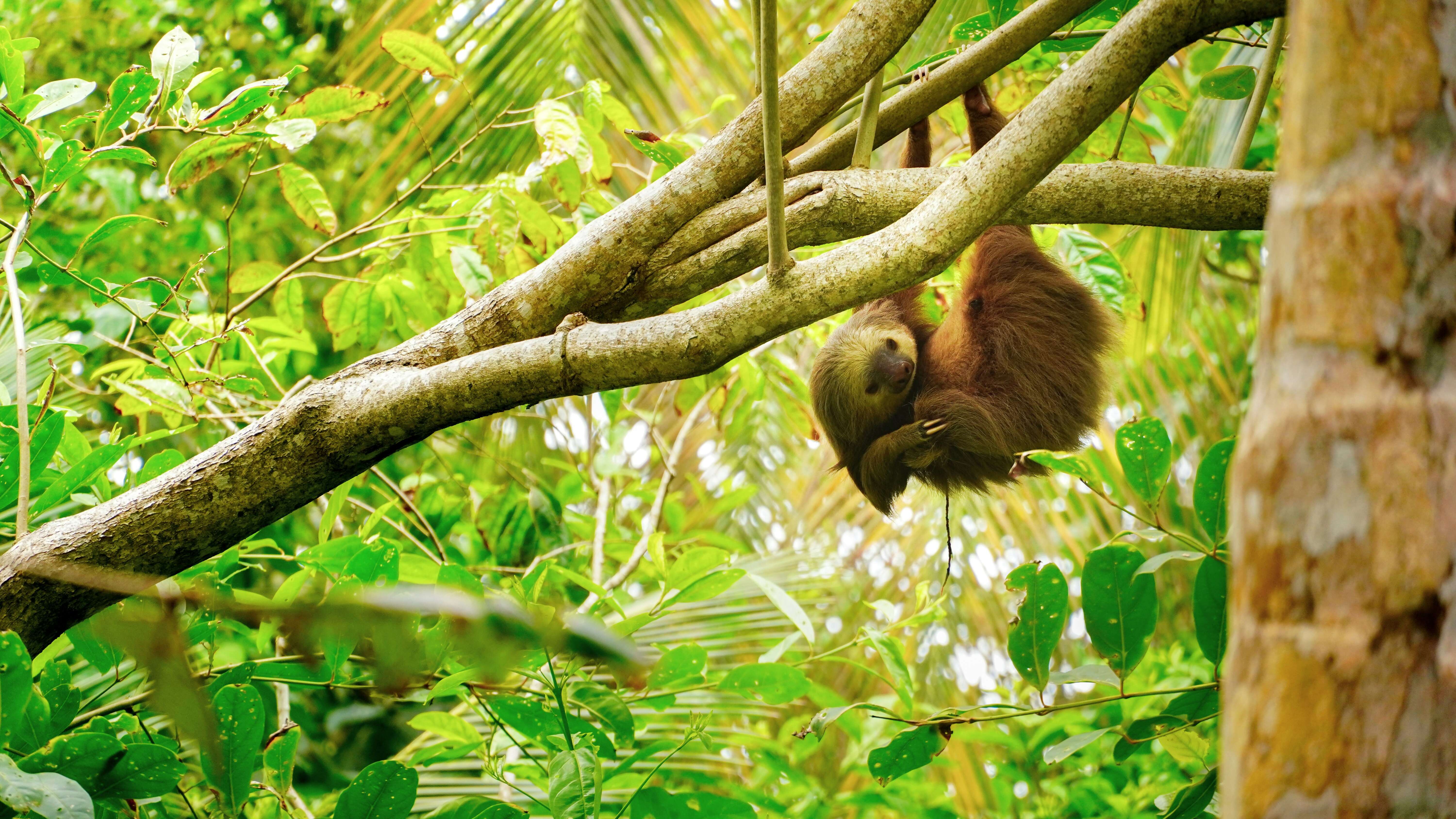 The Wonders of Costa Rica