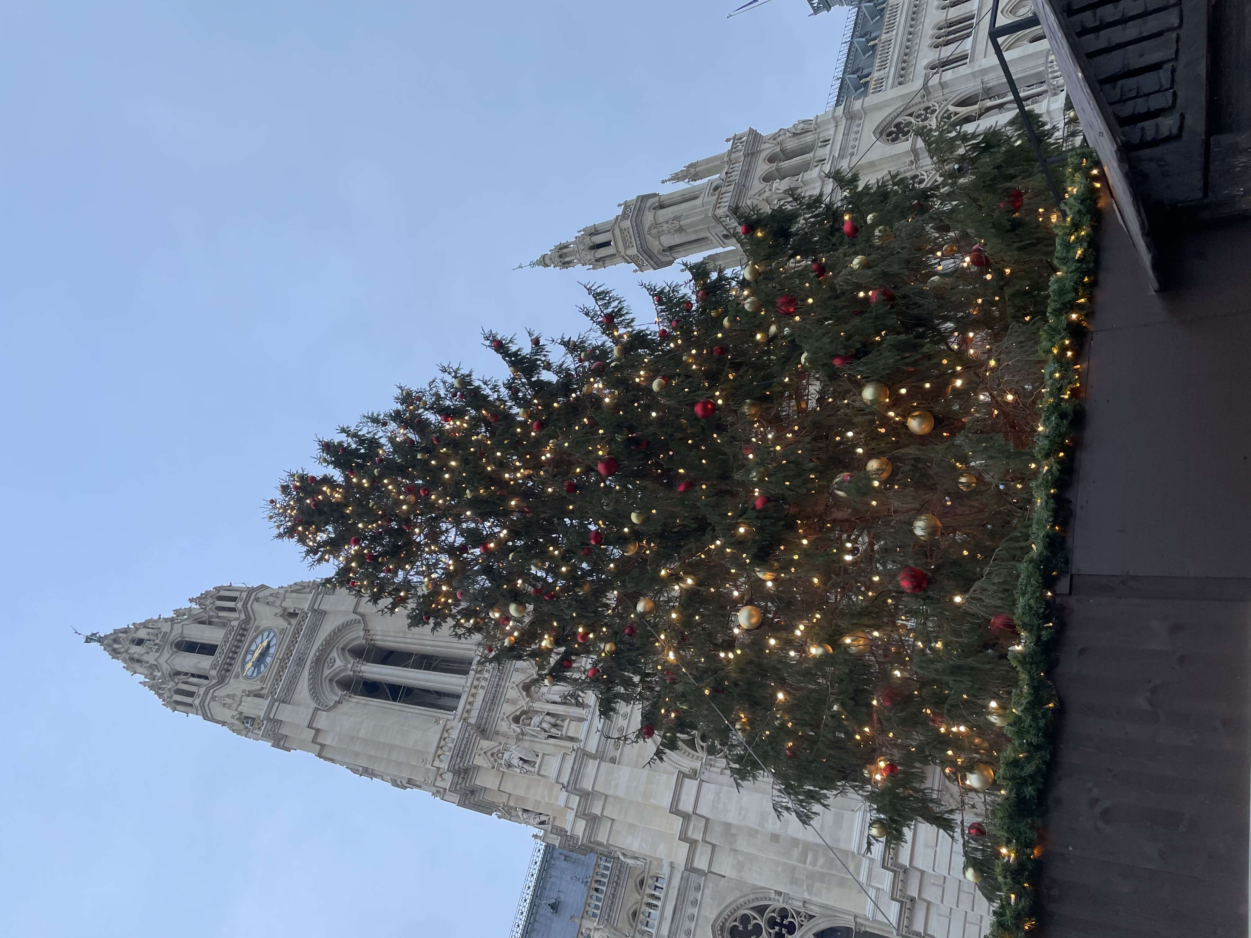 Such an enjoyable holiday!