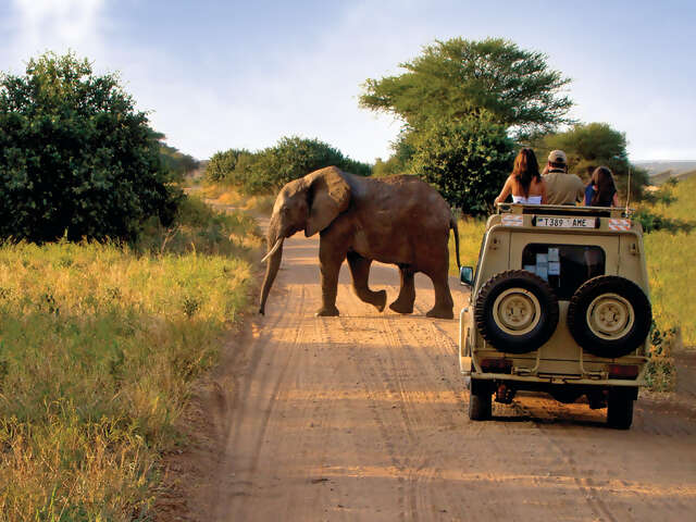 Tauck's Grand Family Safari - You Family's African Adventure Awaits!