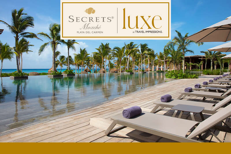 Experience it all with savings up to 40% + Exclusive Perks