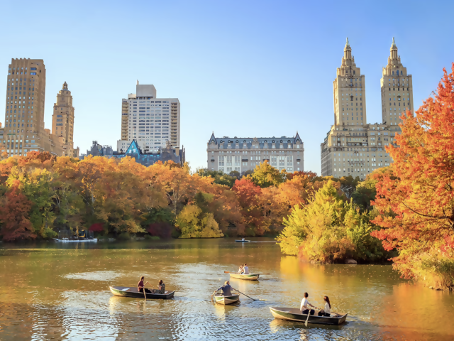 New ship. New places. New you.