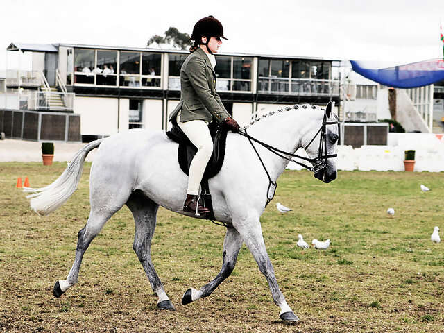 Top 2 Horseback Riding Ranches in Los Angeles