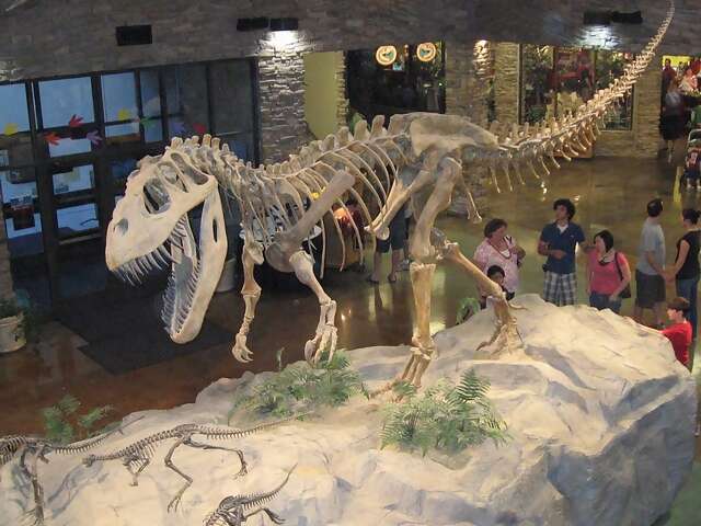 Journey through the Evolution of Dinosaurs at the Royal Tyrrell Museum