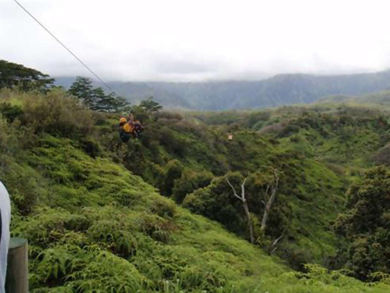 See Sites from Jurassic Park on an Outfitters Kauai Zipline Safari Tour